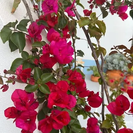 Hébergement de vacances Casa De Maio - New T2 - Arrifana 650 Mts *