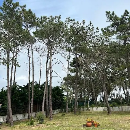 Casa De Maio - New T2 - Arrifana 650 Mts アルジェズール